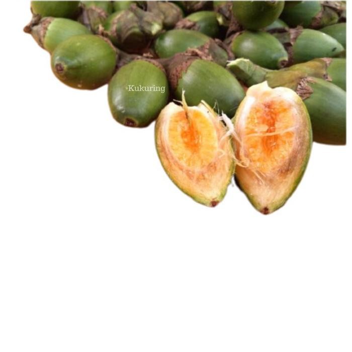 

[Fresh] Murah Buah Pinang Muda 1 Kg