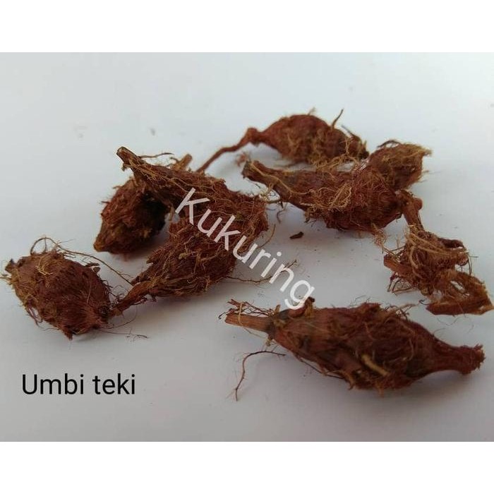 

[Fresh] umbi teki 100gr rumput teki segar berkhasiat