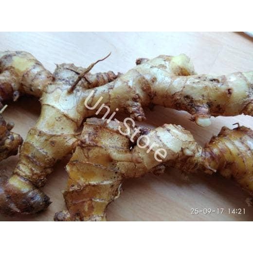 

[Fresh] 1kg Lempuyang segar/basah lempuyung lampuyang