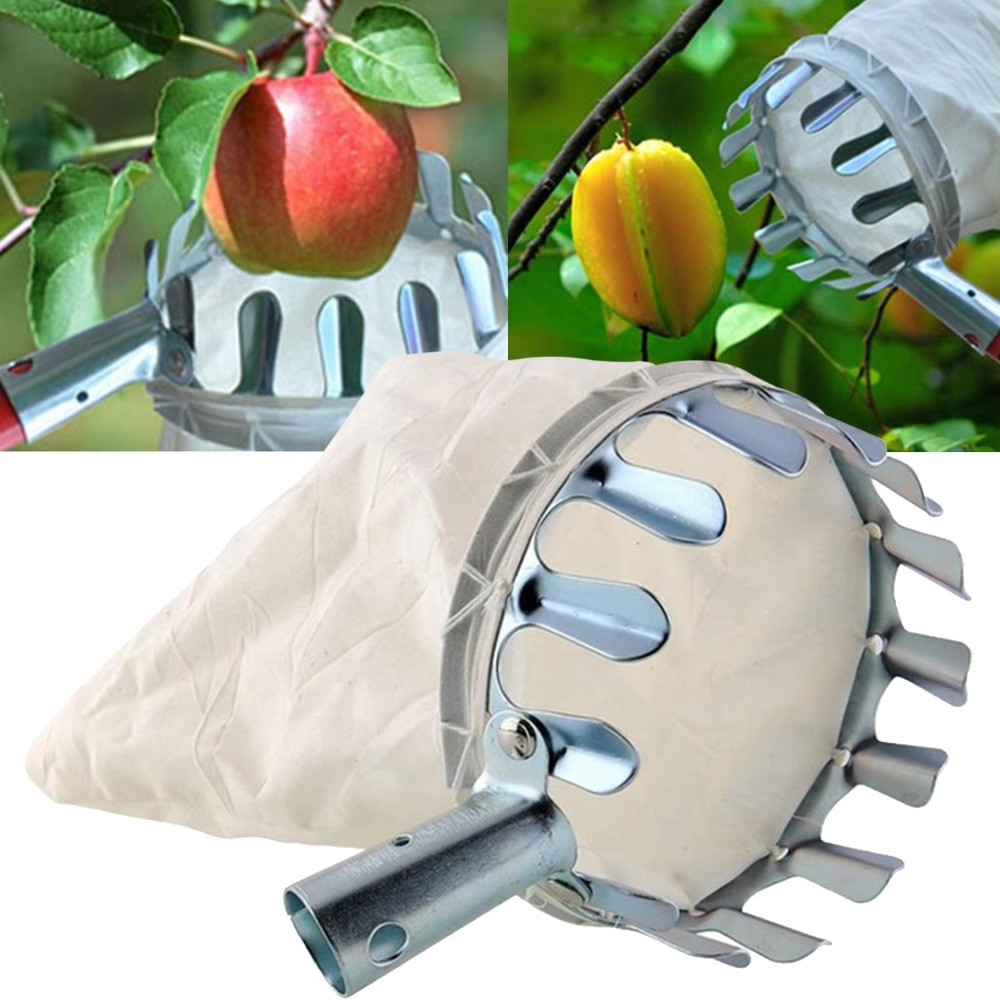 Portable Fruit Picker Tool Handheld Metal Fruit Picker Basket Head Detachable Durable Cherry Picker