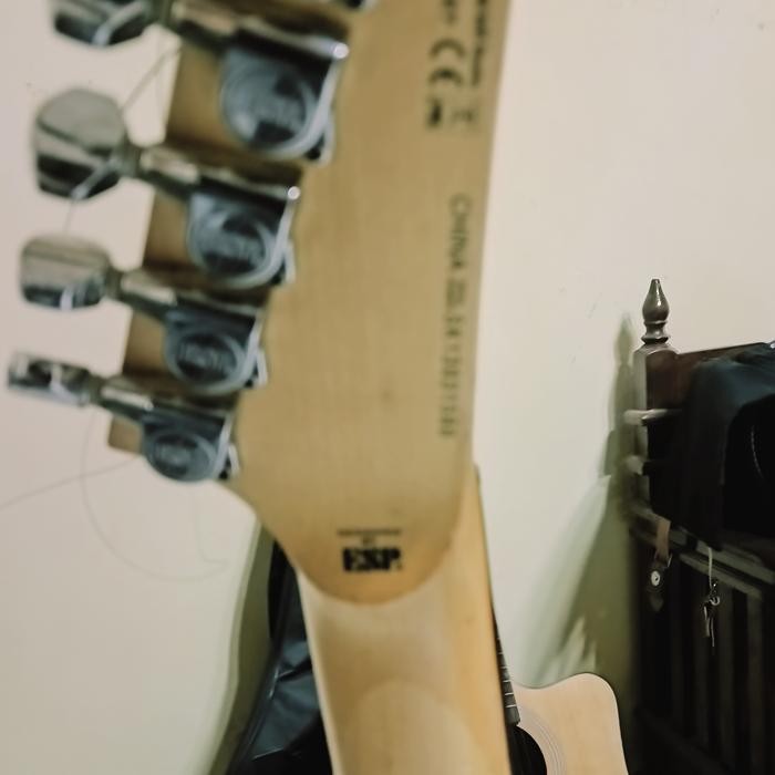 bismillah di jual gitar esp Ltd *