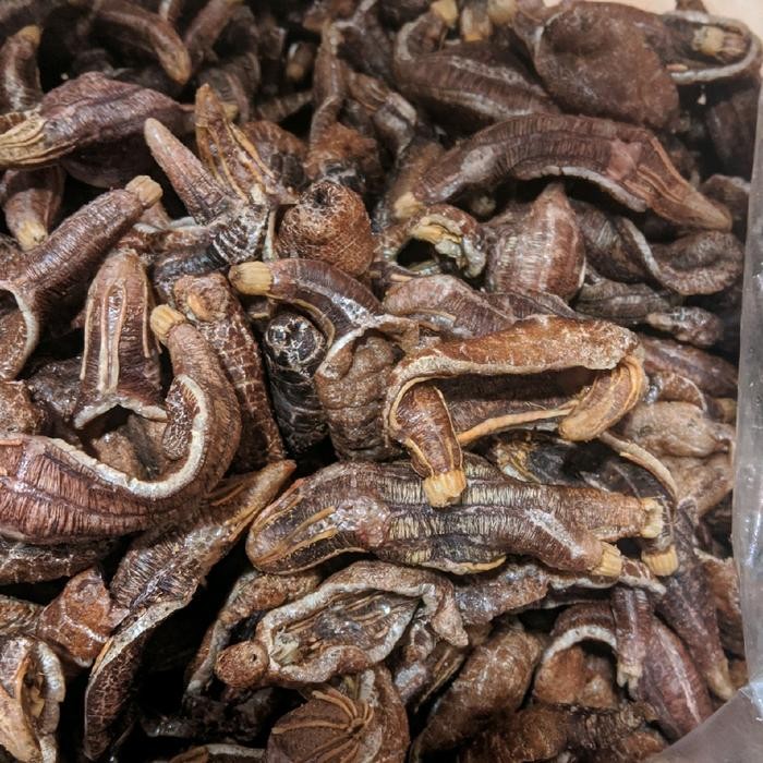 

ORIGINAL kerupuk tripang khas surabaya enak makanan ringan kemasan 250g READY STOCK