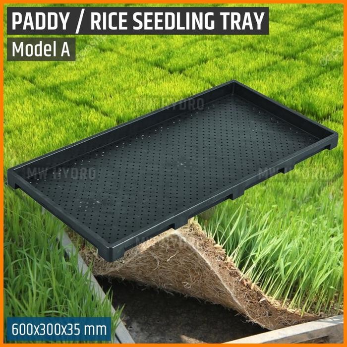 Premium Paddy / Rice Seedling Tray, Tray Semai Bibit Padi / Microgreen - A