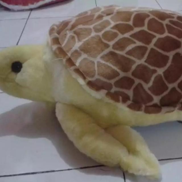BONEKA KURA-KURA JUMBO BESAR