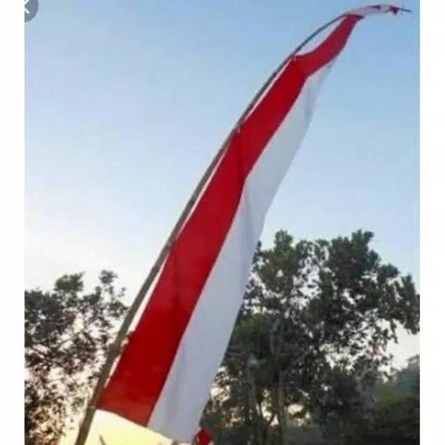 Bendera Layur Panjang Umbul 5 Meter Terbatas