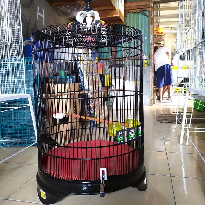 kandang murai oriq pvc