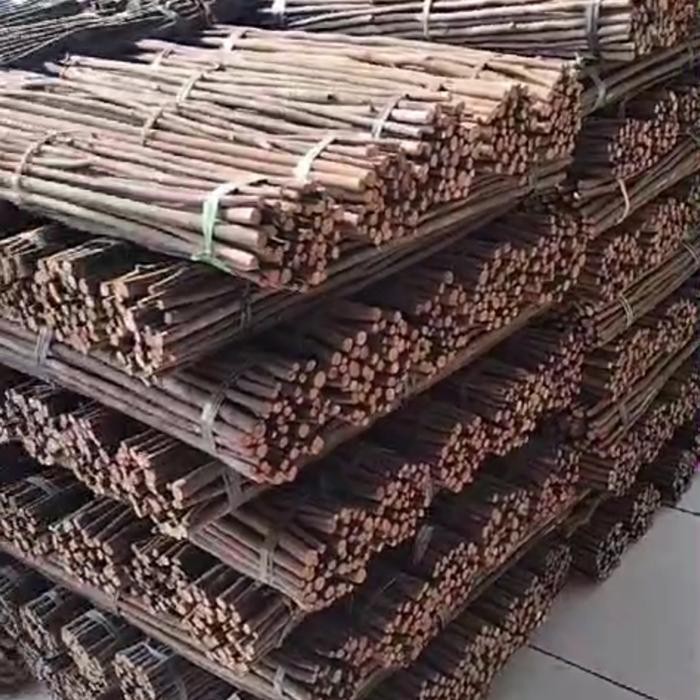 kayu asem bali kayu asem jawa kayu asem untuk tangkringan burung dan ayam hias ikatan