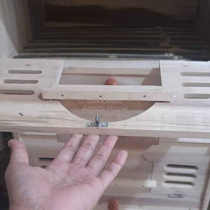 kandang burung dara/gupon merpati kolong/kandang macan merpati