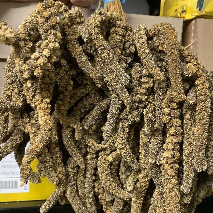 Jewawut Hitam Gantung Tangkai -/+ 500gr Makanan Burung Emprit Finch