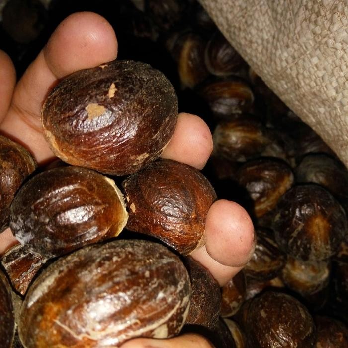 

biji Pala tua kering 1kg