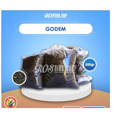 500gr Godem Pakan Burung PERKUTUT BERSIH Sudah Dicuci dan Ditampi