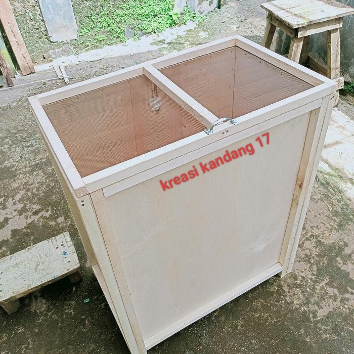 Box jangkrik ukuran jumbo / kandang jangkrik