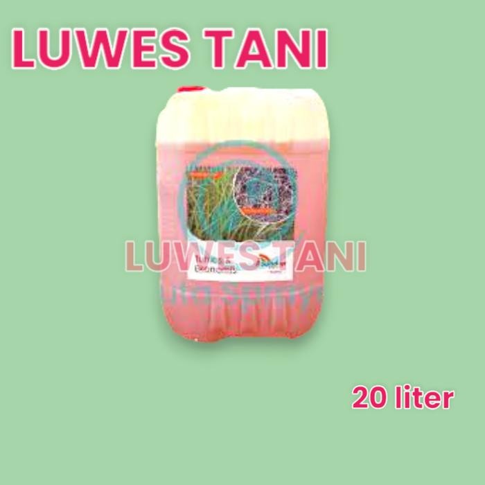 Roundup 20 Liter (Jerigen) Herbisida Sistemik Rumput Kering Sampai Ke Akar