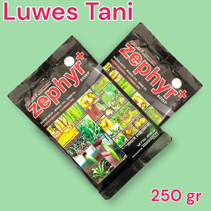 Zephyr 80 Wp 250Gr Fungisida