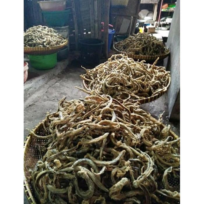 

Sedia Keripik Belut kemasan 1 kg Snacks Goreng Ca Food Ce Kripik