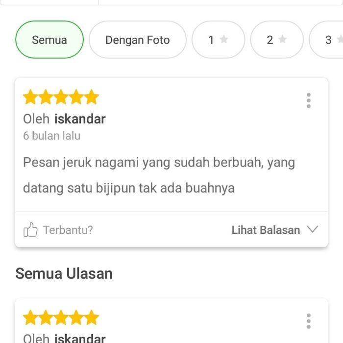 JERUK NAGAMI SUDAH BERBUAH