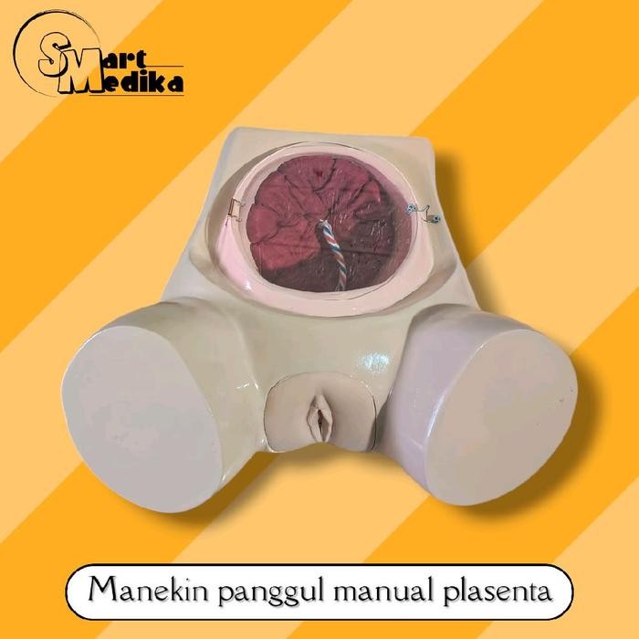PHANTOM MANEKIN MODEL PANGGUL MANUAL PLASENTA / PERAGA MANIKIN MANUAL PLASENTA
