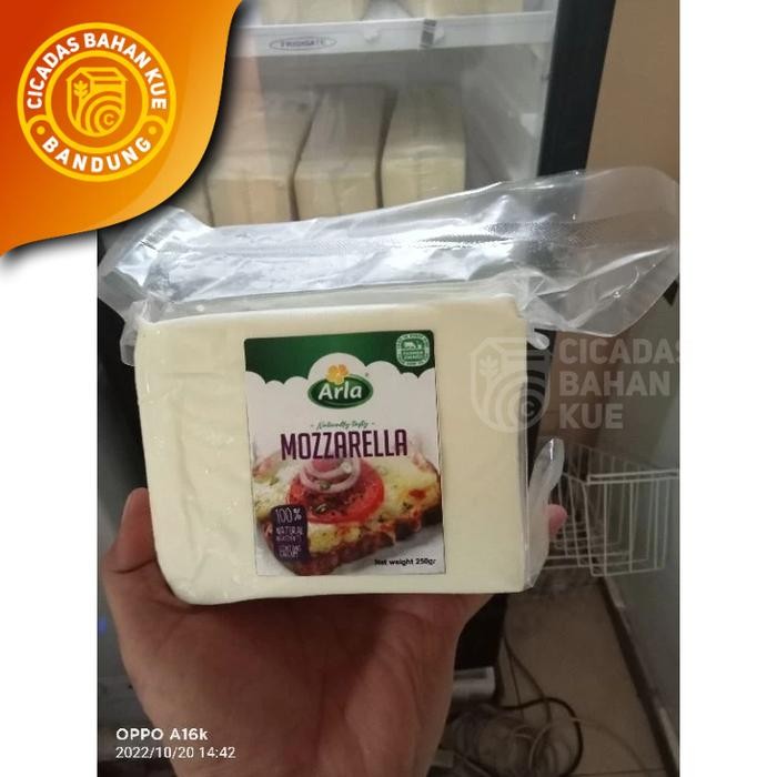 

(Expert) Keju Mozarella Arla 1kg Import Denmark