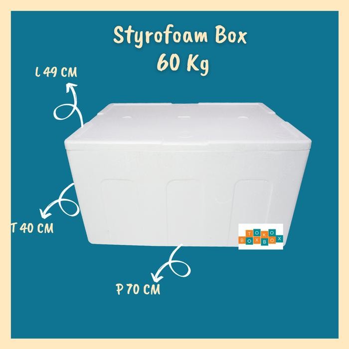 Styrofoam Box 60 kg / Styrofoam Box Besar 70 x 49 x 40 Grab Gosend