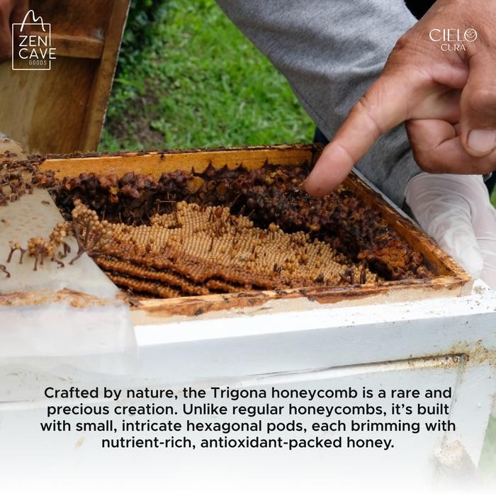 

Madu Murni Cielo Cura Pure Honey Trigona