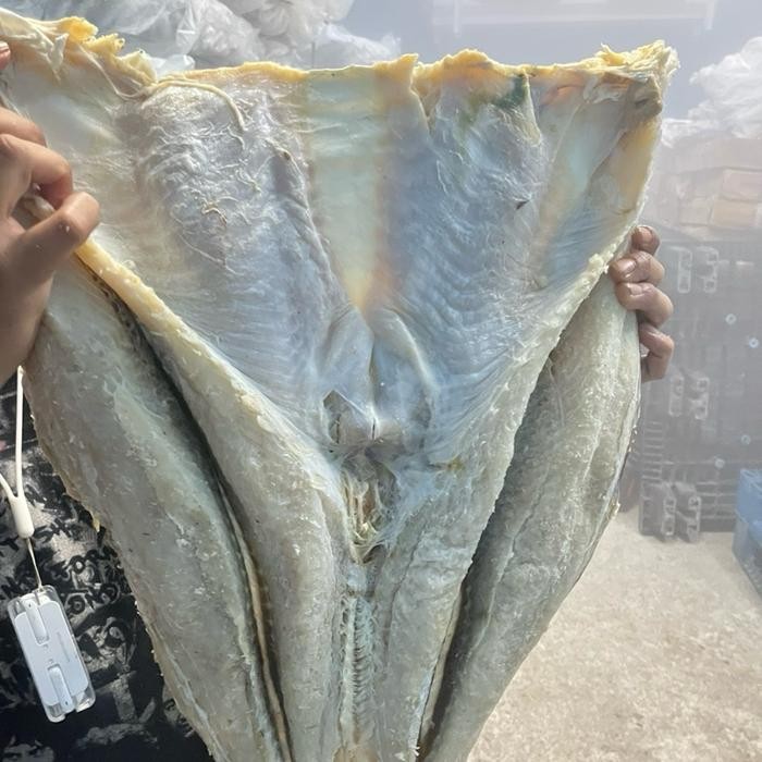 

New ikan asin jambal roti manyung/kadukang mentega ngeprul Food halal