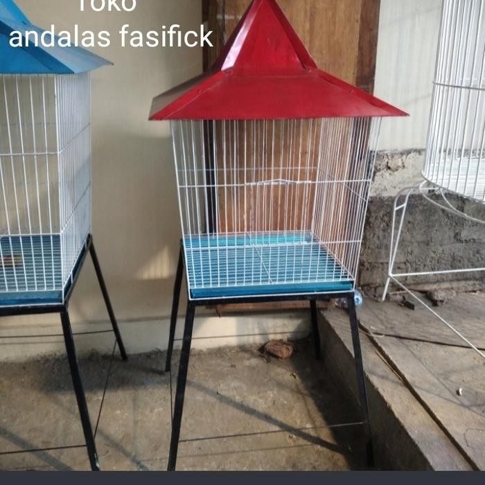 Kandang Burung Jalak. Beo Ayam Kate. Serama Dan Lain Lain
