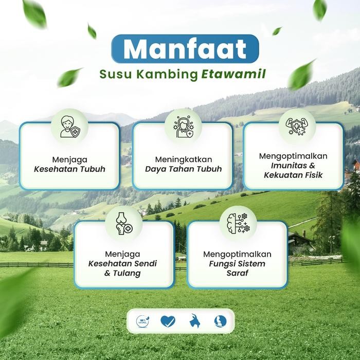 

(Expert) ETAWAMIL Susu Kambing Etawa Bubuk - Rasa Original Enak Sehat Halal BPOM 500 gram