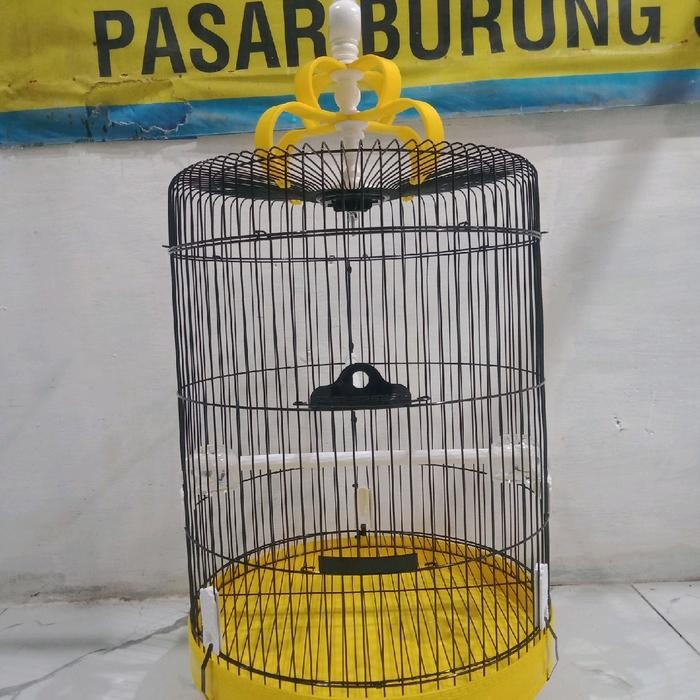 Sangkar Besi Bulat Jumbo Queenie Buat Burung Paruh Bengkok Jalak Kr Dll Ukuran Lebar 42 Cm