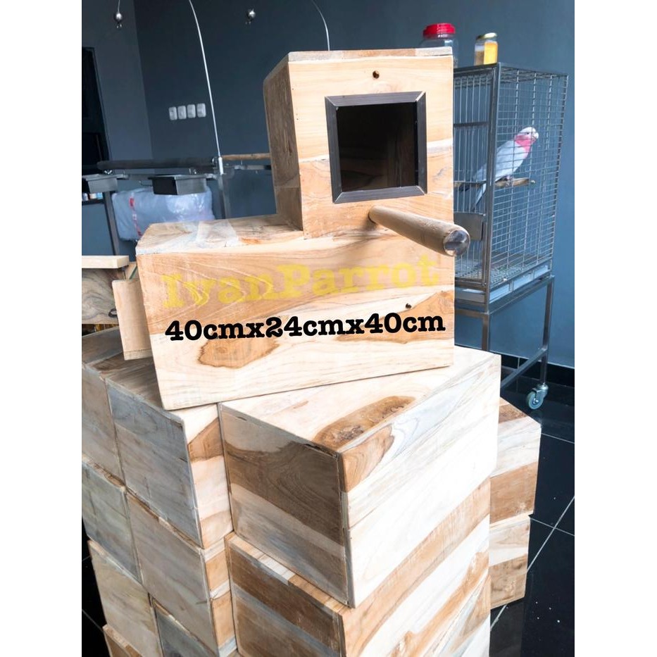 Glodok Kayu Jati Burung Parrot Sun Conure Betet Nuri Irn Monk Wbc Bhc