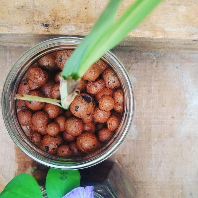 Hydroton media tanam hidroponik hidroton jerman / Hidroton