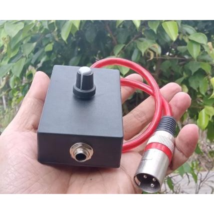 [Expert] ANTI FEDBACK/STORING MIC