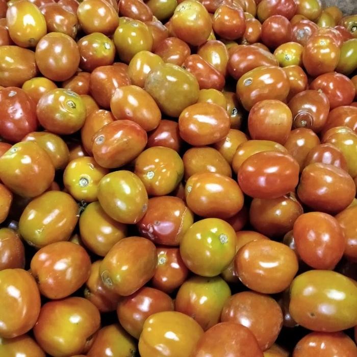 

New Tomat Besar Segar kg