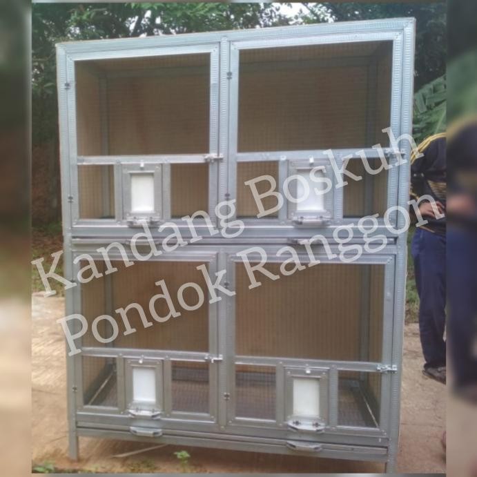 KANDANG MACAN MERPATI 4 PINTU UKURAN 60X60X70