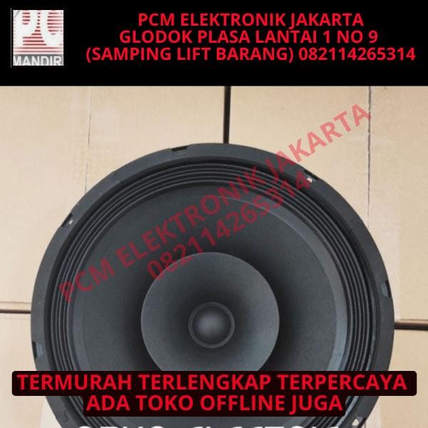 speaker cannon can non canon pro 10 inch 10inch fullrange full range