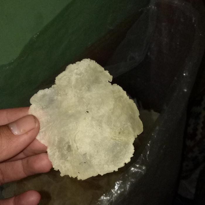 

Emping Melinjo Mentah. Emping Mentah 1Kg.