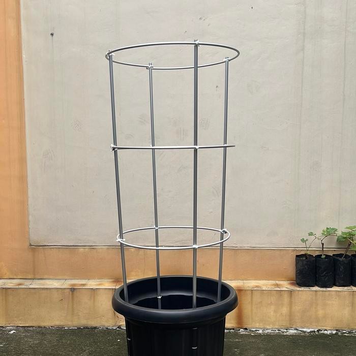 Tiang Rambatan Tabulampopot Anggur