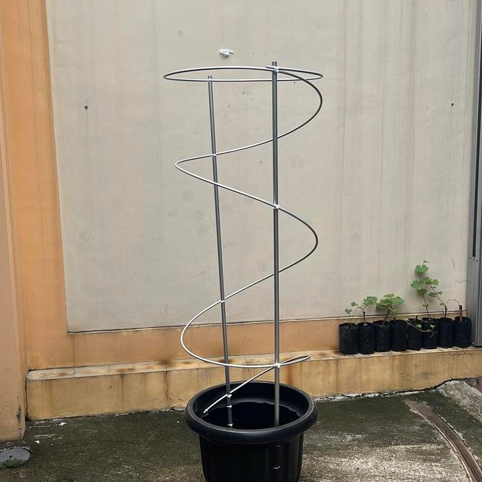 Tiang rambatan tanaman anggur