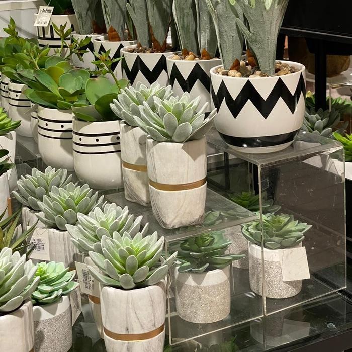 

Akrilik Stand Untuk Tanaman/ Pajangan (20X15)(5Mm)(Bening)