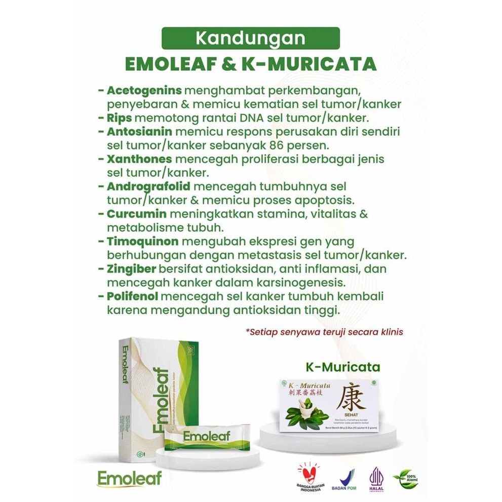 New Obat Kanker Tumor Paru Paru Prostat Serviks Usus Mazon B & K Muricata Biomazo Neomorica Emoleaf