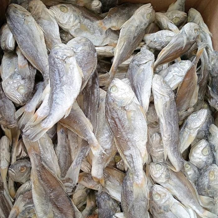 

IOI2 Ikan Asin Kepala Batu Asli Tanjung Balai /Medan