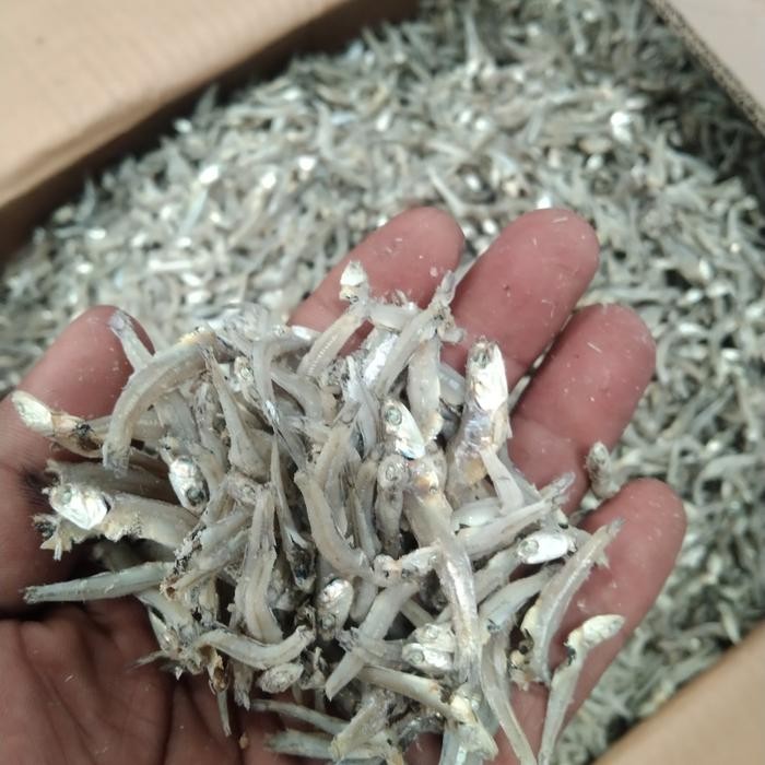 

3YC3 Teri Jengki Kering 500Gr/Ikan Asin Teri Jengki Bulat