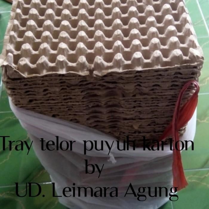 (Allthebest) tray puyuh karton/tempat telur puyuh karton