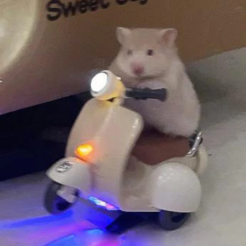 

Hamster Toys 360-degree Rotation Motorcycle Lighting Electric Pet Rat Toy Hamster Accessories