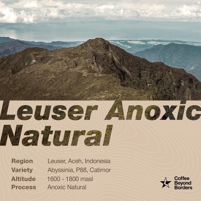 

Arabica Green Beans - Indonesia Leuser Anoxic Natural