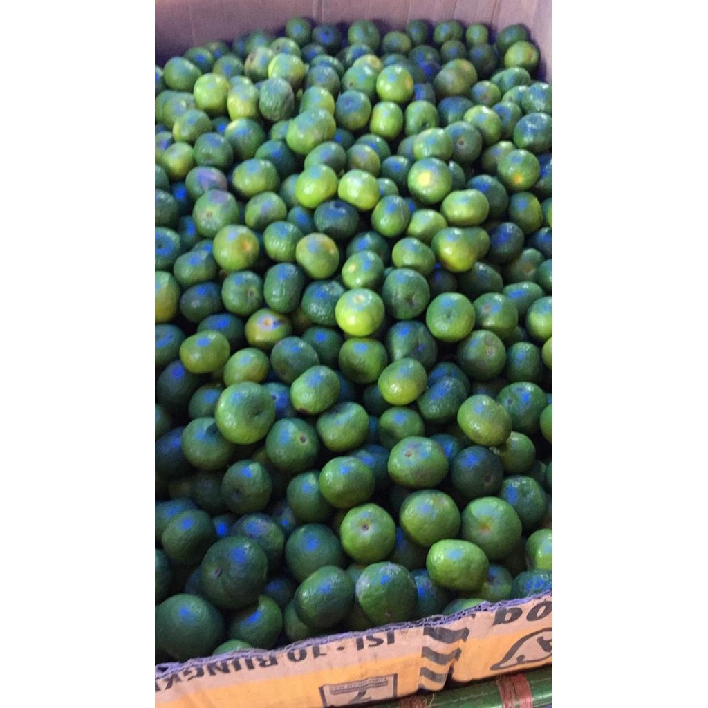 

ORIGINAL Jeruk limau / limo / 1 kg READY STOCK