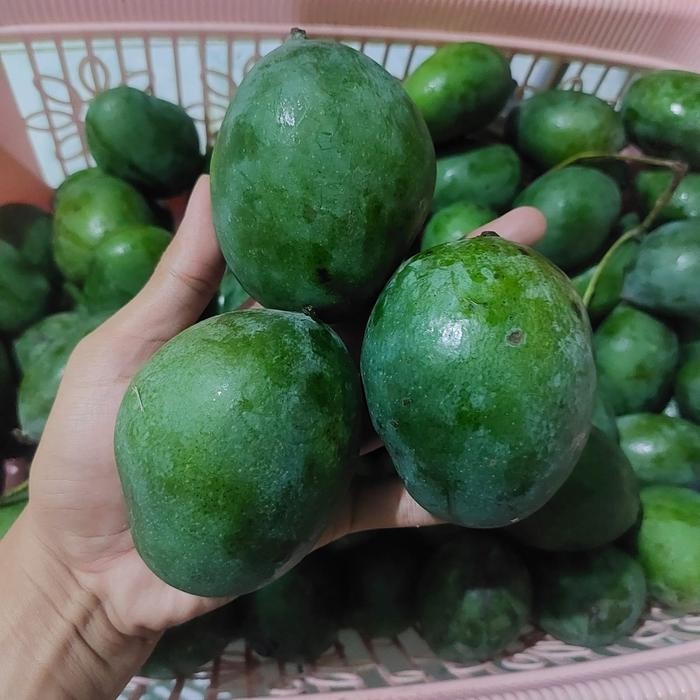 

SIAPKIRIM Buah Mangga Lalijiwo Talijiwo Lali Jiwo Tali Jiwo Ukuran Jumbo READY STOCK