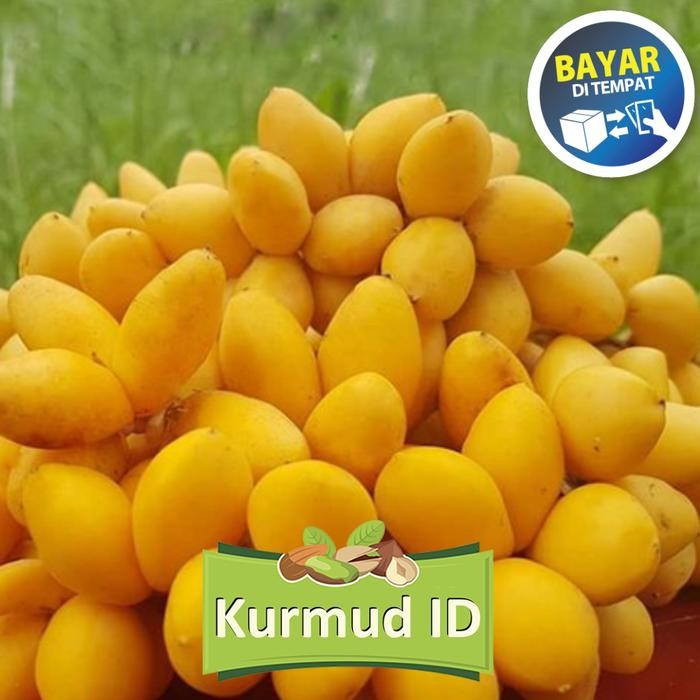 

ORIGINAL 1Kg Kurma Muda Kuning II Ruthob Promil segar bukan frozen READY STOCK