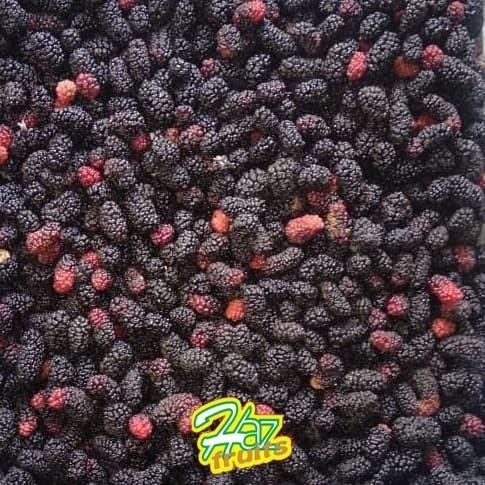

ASLI MULBERRY MULBERRIES FROZEN 1 KILO READY STOCK