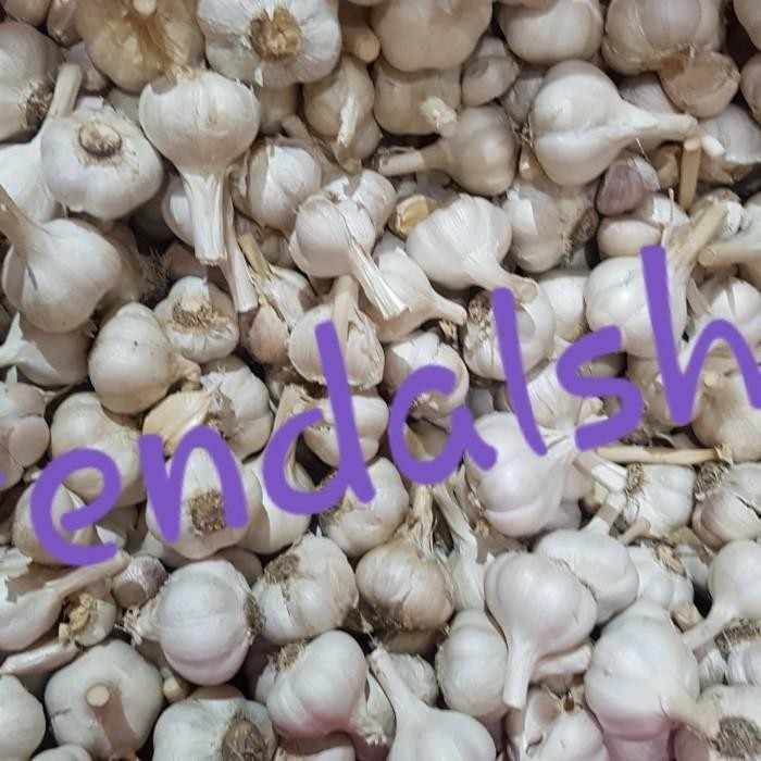 

(Allthebest) Bawang putih kating super pilihan 1000gr