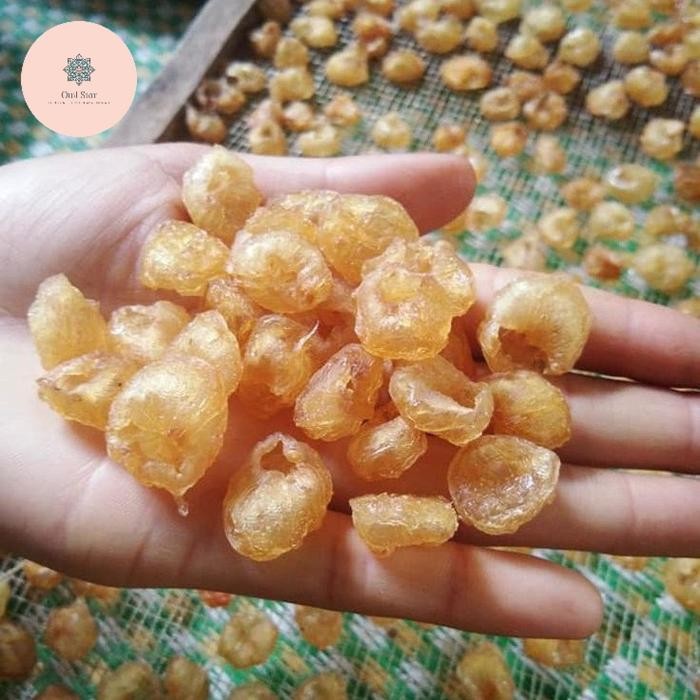 

DISKON Longan Kuning Dried Longan Thailand Gui Yuan Rou Kelengkeng Kering READY STOCK